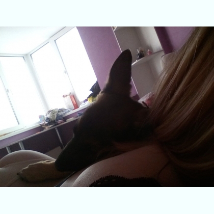 ���� ������� � ��������������� ������� 